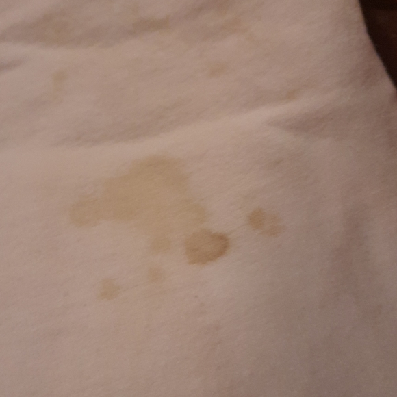 MEN'S FRUIT OF THE LOOM  LONG SLEEVE  SHIRT. - Picture 2 of 4